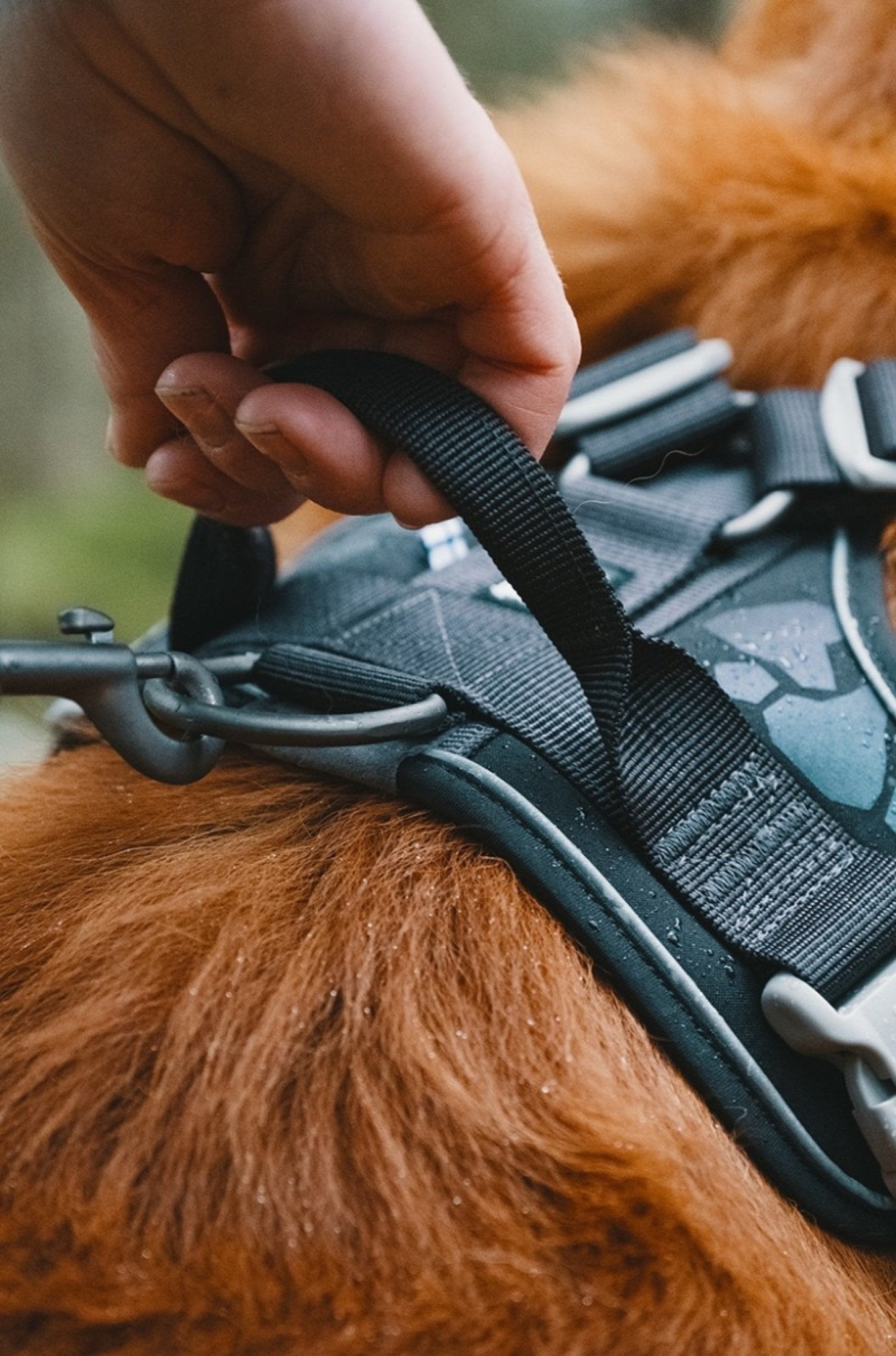 Hurtta Weekend Warrior Harness Peacock Hurtta Weekend Warrior Harness Peacock