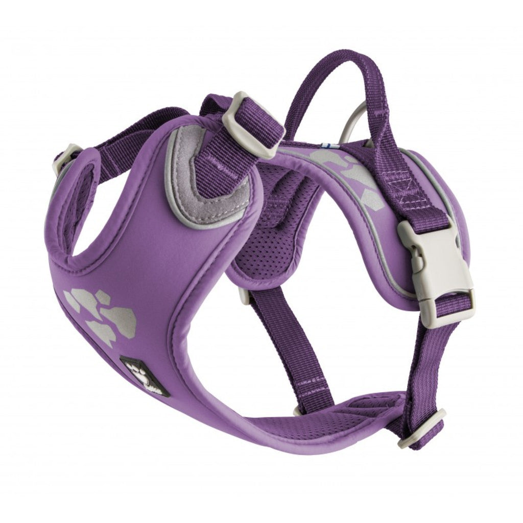 Hurtta Weekend Warrior Harness, Currant - The Urban Pet Store -