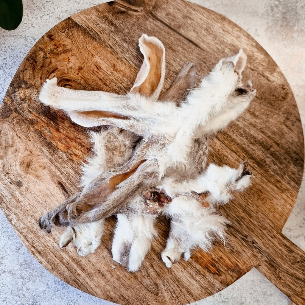 JR Hairy Rabbit Ears - The Urban Pet Store - Dog TreatsJR Pet Products12345678936