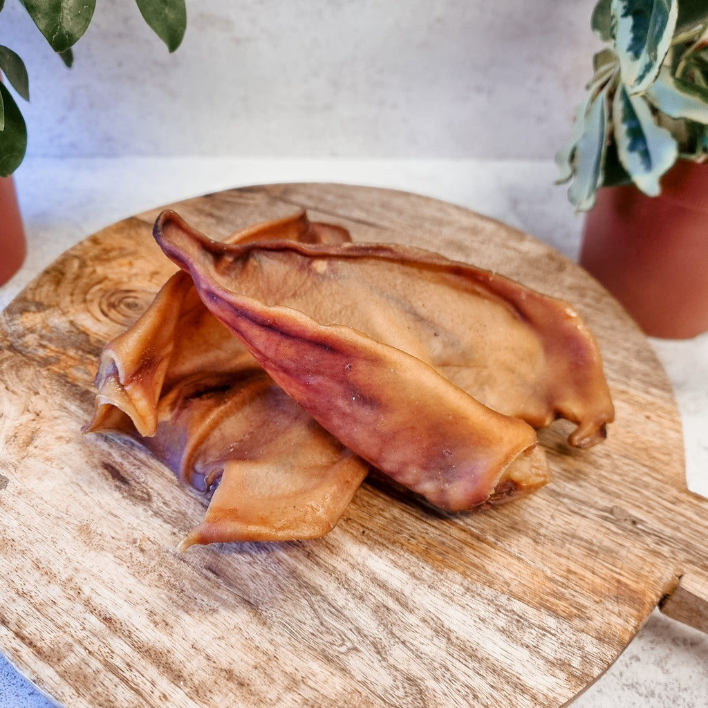 JR Iberian Pigs Ears - The Urban Pet Store - Dog TreatsJR Pet Products12345678938