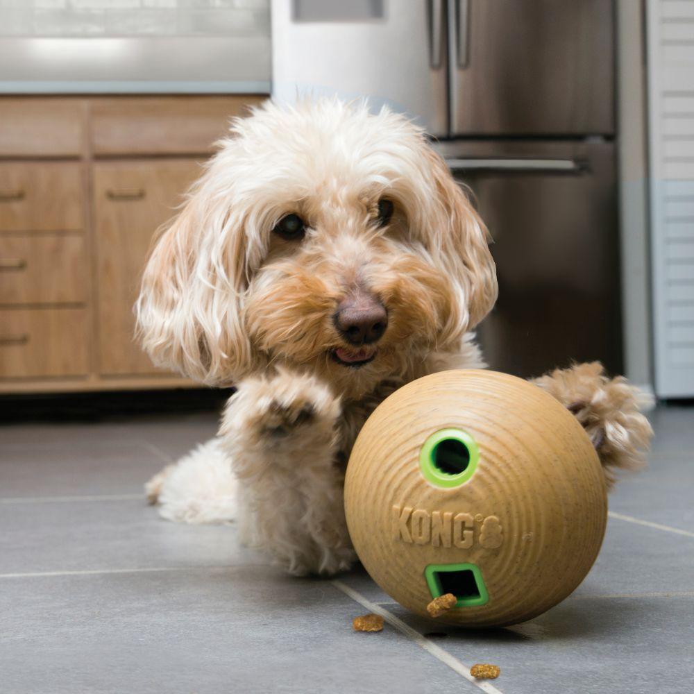 KONG Bamboo Feeder Ball Medium - The Urban Pet Store - Dog ToysKONG035585475240