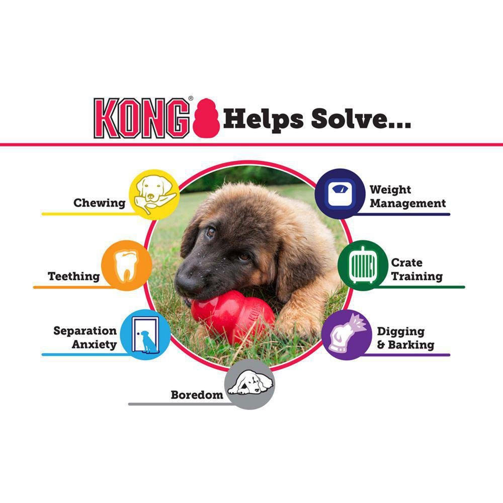KONG Classic Dog Toy - The Urban Pet Store -