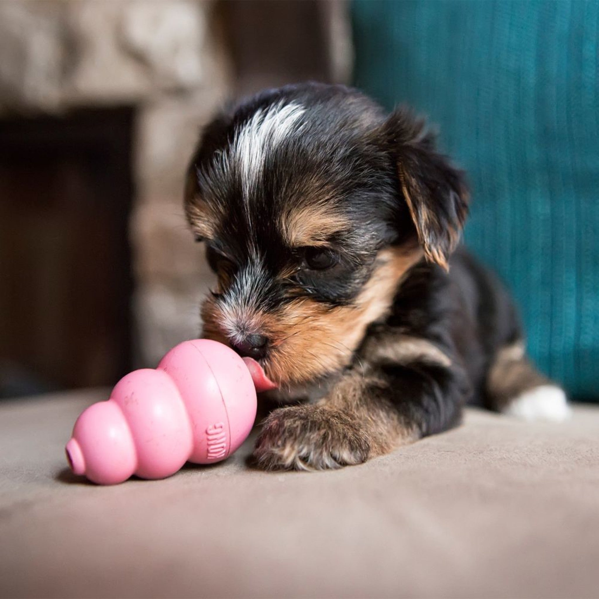 KONG Classic Puppy Toy The Urban Pet Store