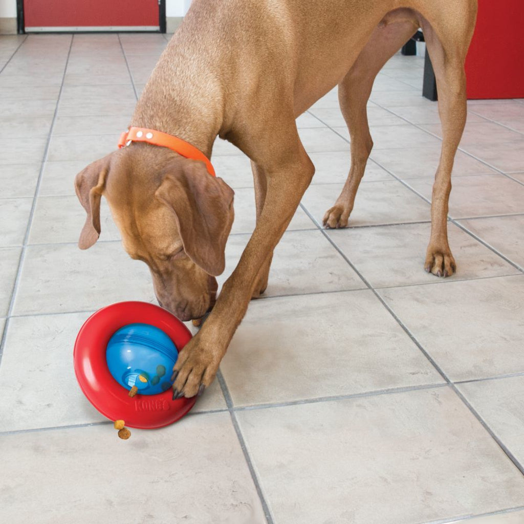 KONG Gyro Interactive Treat Dispenser - The Urban Pet Store - Dog ToysKONG035585034188