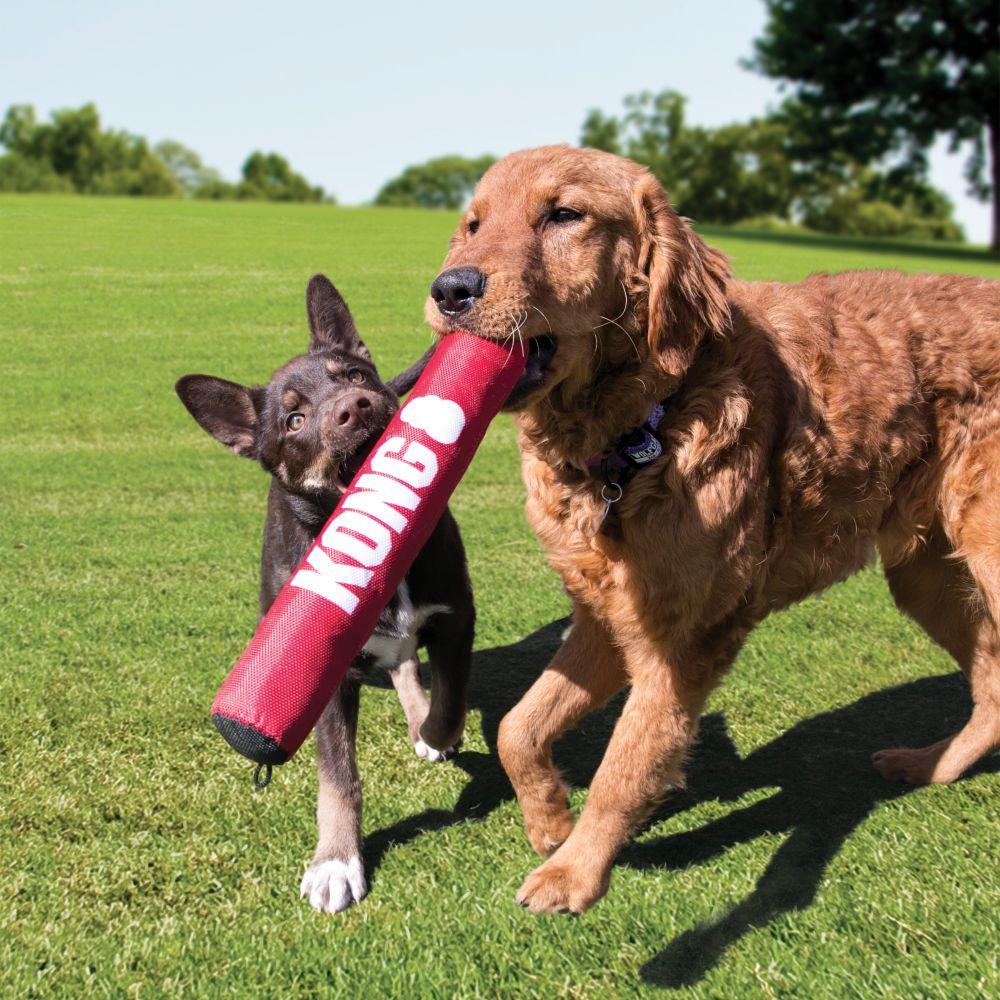 KONG Signature Stick - The Urban Pet Store - Dog ToysKONG035585494029