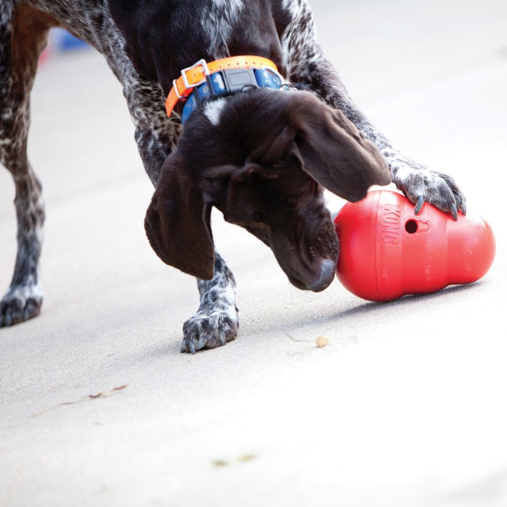 KONG Wobbler Treat Dispenser - The Urban Pet Store - Dog ToysKONG035585034010