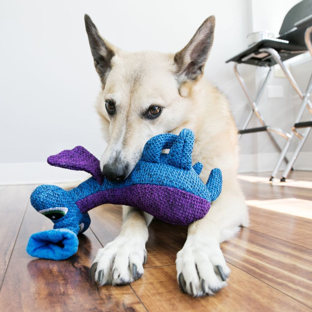 KONG Woozles Dog Toy, Blue - The Urban Pet Store -