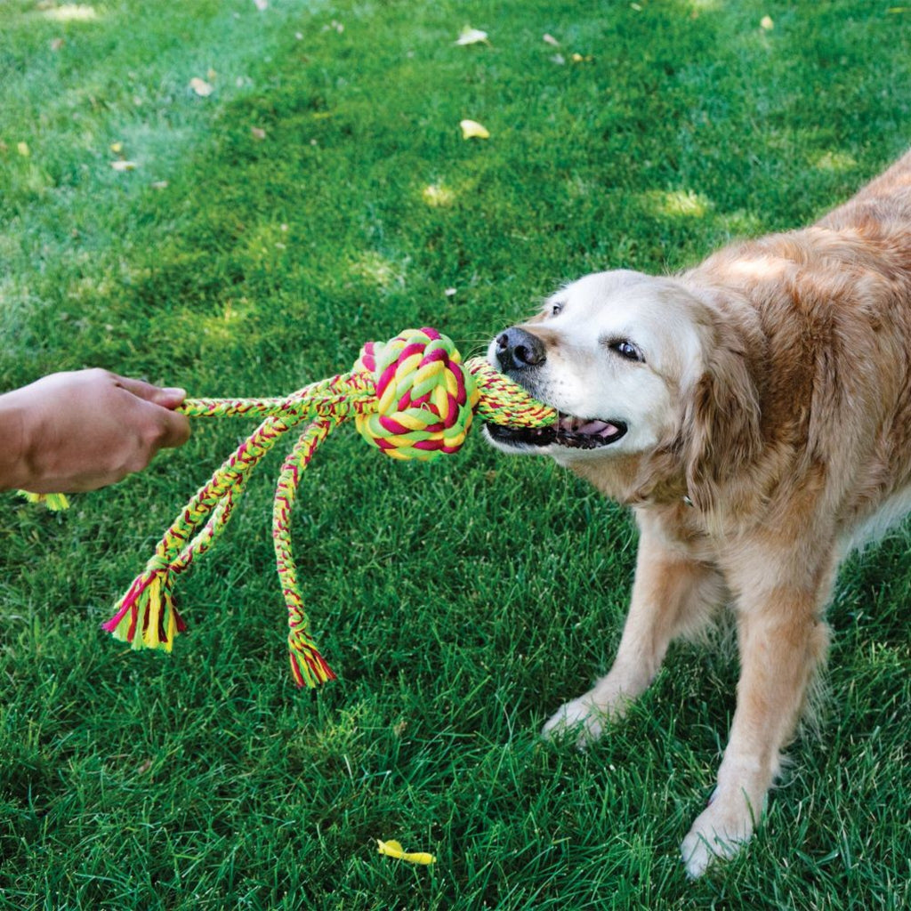 KONG Wubba Weaves with Rope - The Urban Pet Store -
