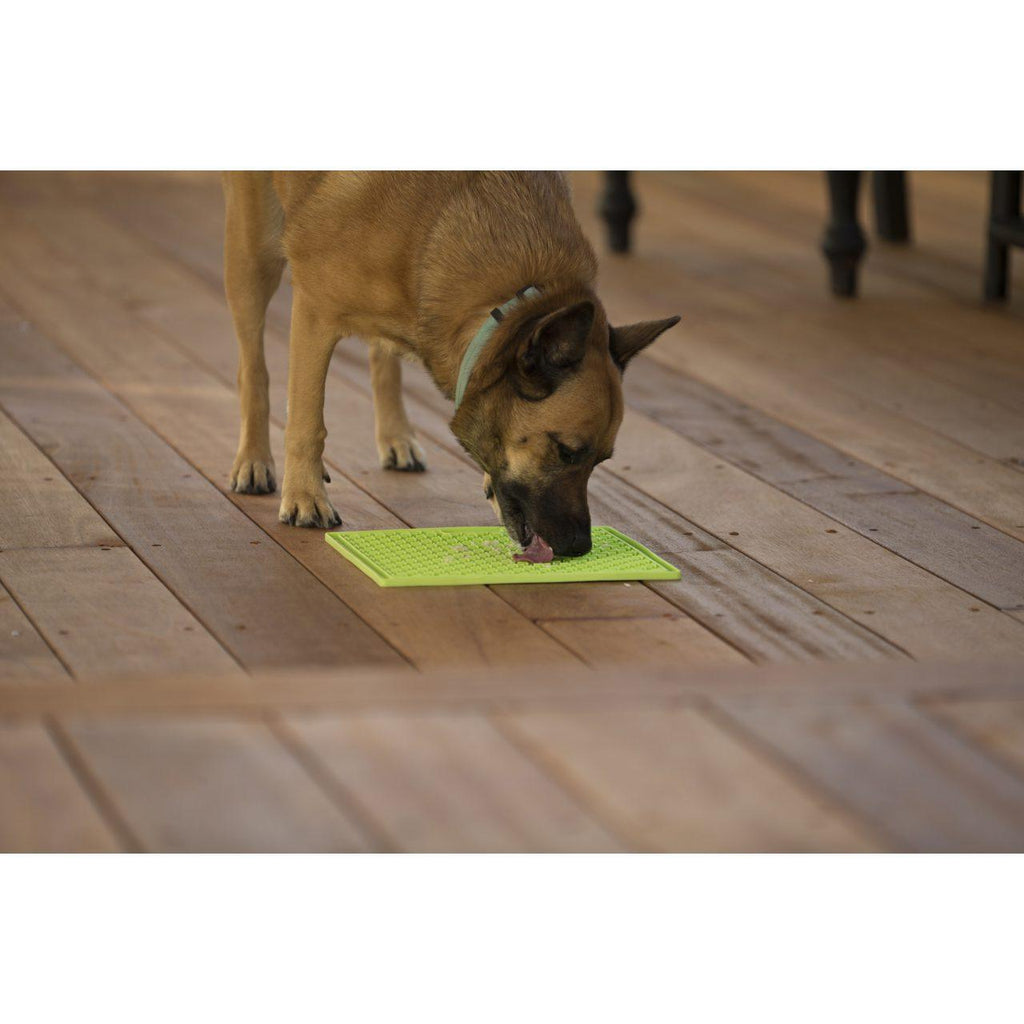 LickiMat Buddy - The Urban Pet Store - Dog ToysLickiMat9349785000456