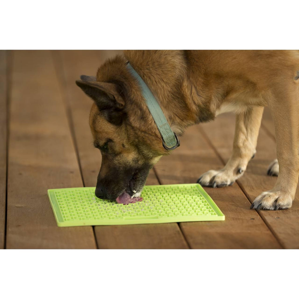LickiMat Buddy - The Urban Pet Store - Dog ToysLickiMat9349785000456