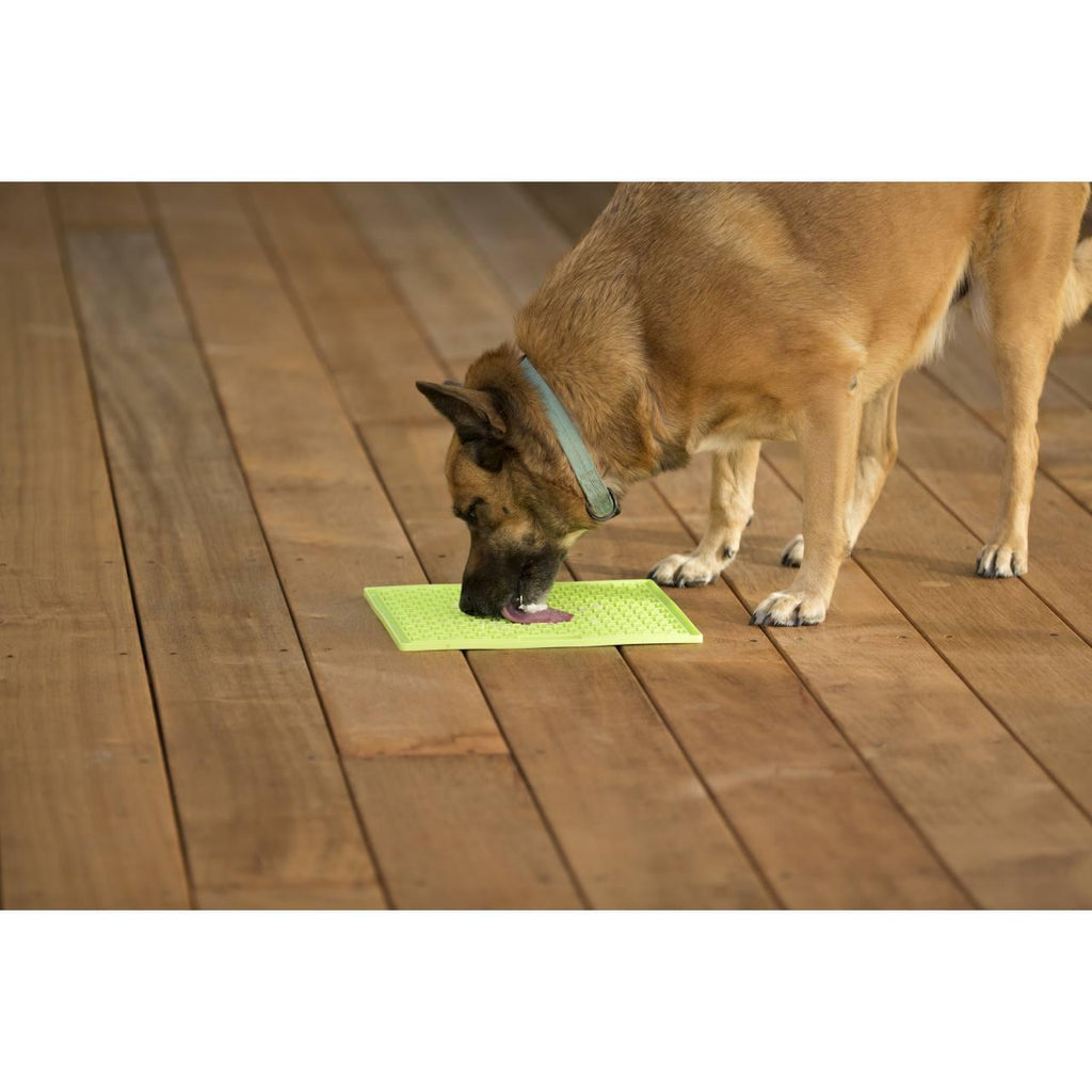 LickiMat Buddy - The Urban Pet Store - Dog ToysLickiMat9349785000456