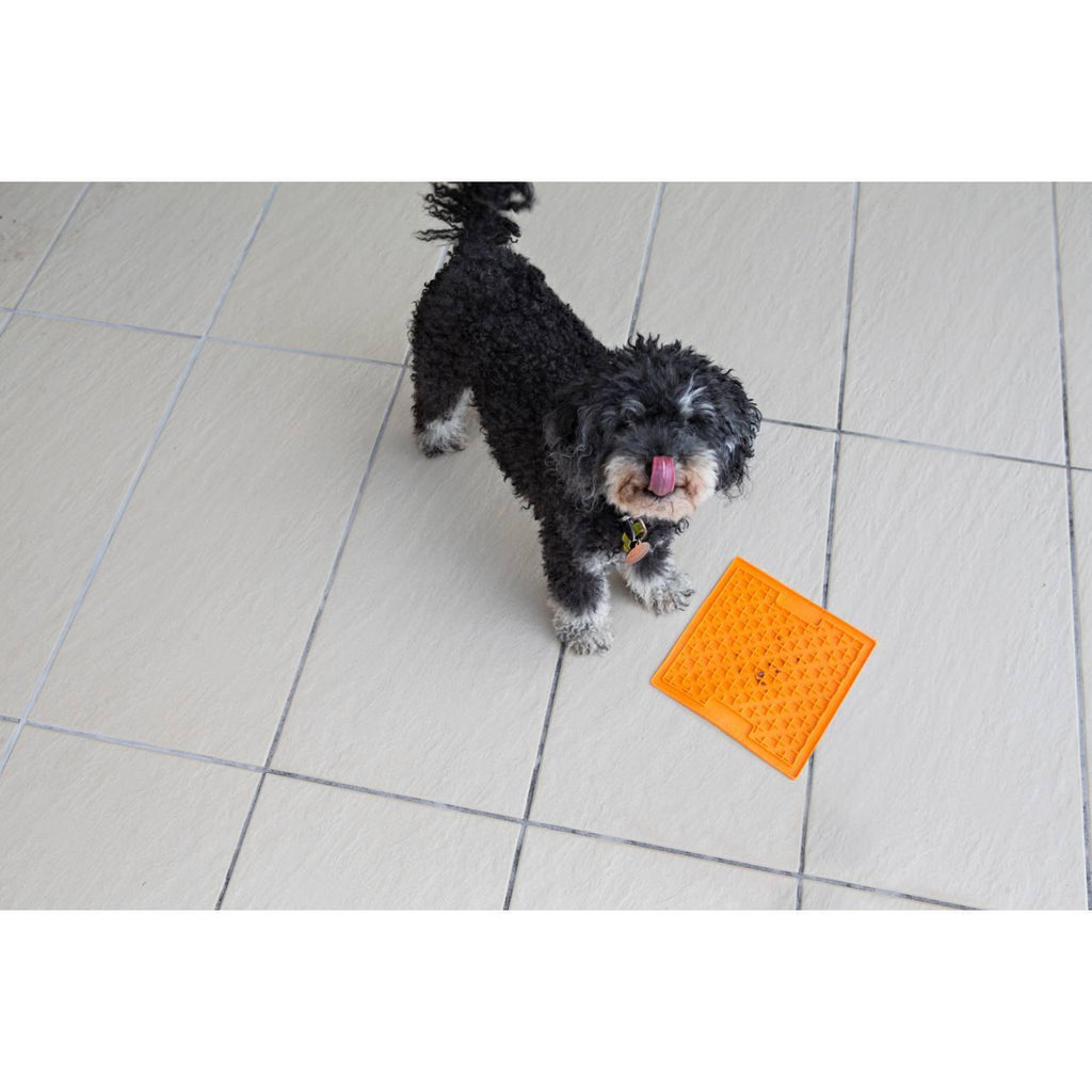 LickiMat Soother - The Urban Pet Store - Dog ToysLickiMat9349785000128
