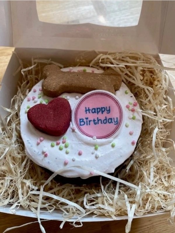 Places that sell cakes for dogs online