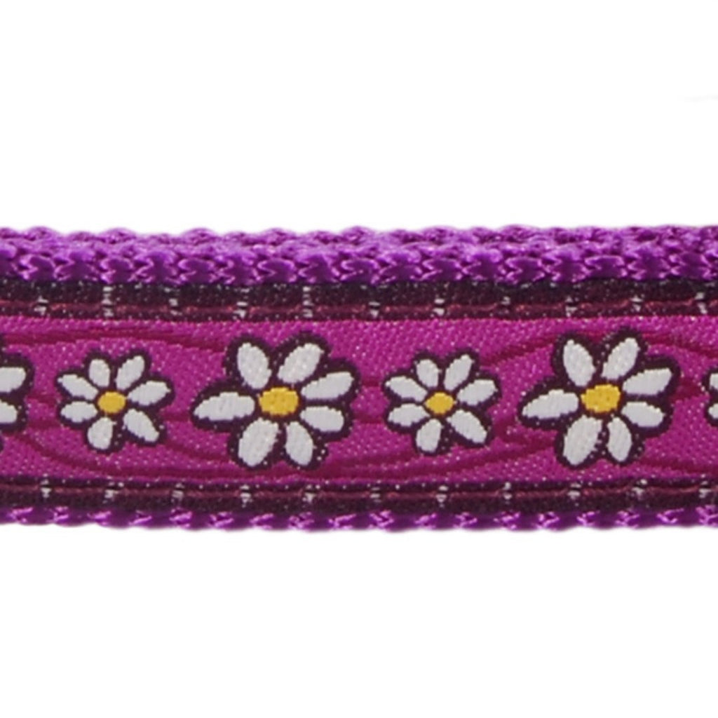 Red Dingo Daisy Dog Lead - The Urban Pet Store - Dog ApparelRed Dingo9330725049024