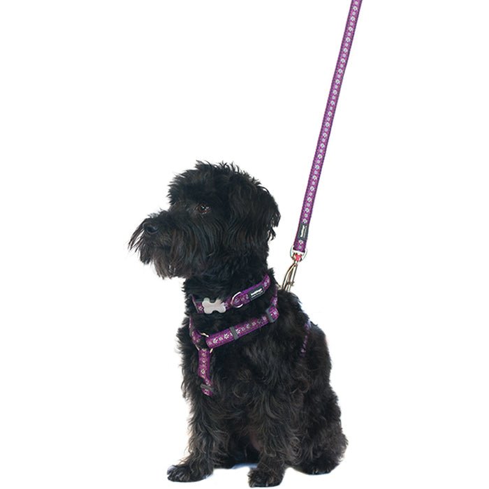 Red Dingo Daisy Dog Lead - The Urban Pet Store - Dog ApparelRed Dingo9330725049024