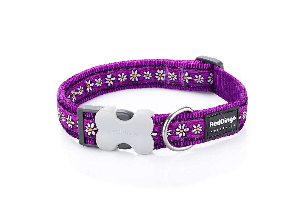 Red Dingo Dog Collar, Daisy Chain - The Urban Pet Store -
