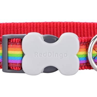 Red Dingo Dog Collar, Rainbow - The Urban Pet Store -