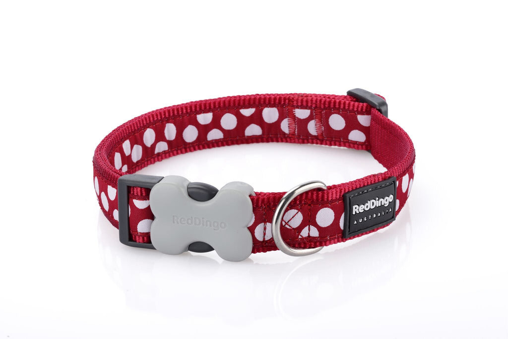 Red Dingo Dog Collar, Red Polka Dot - The Urban Pet Store -
