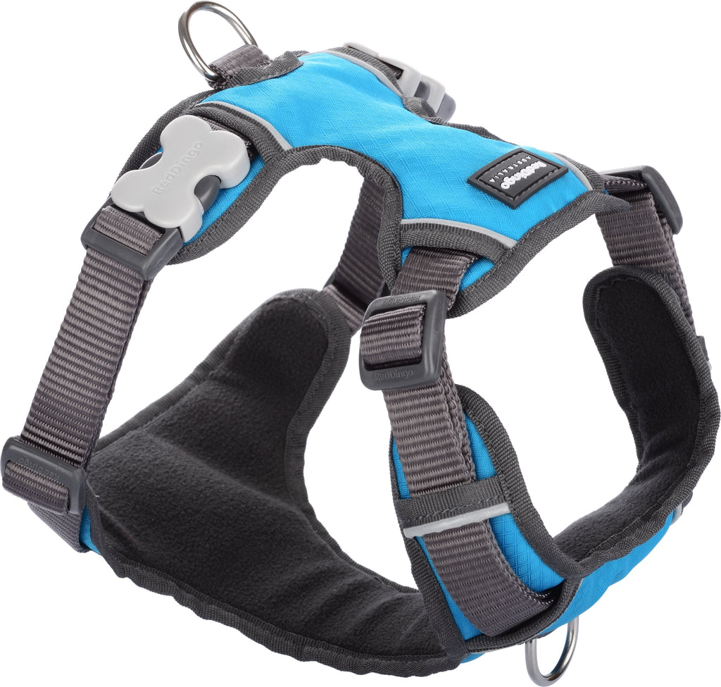 Red Dingo Padded Harness, Blue - The Urban Pet Store -