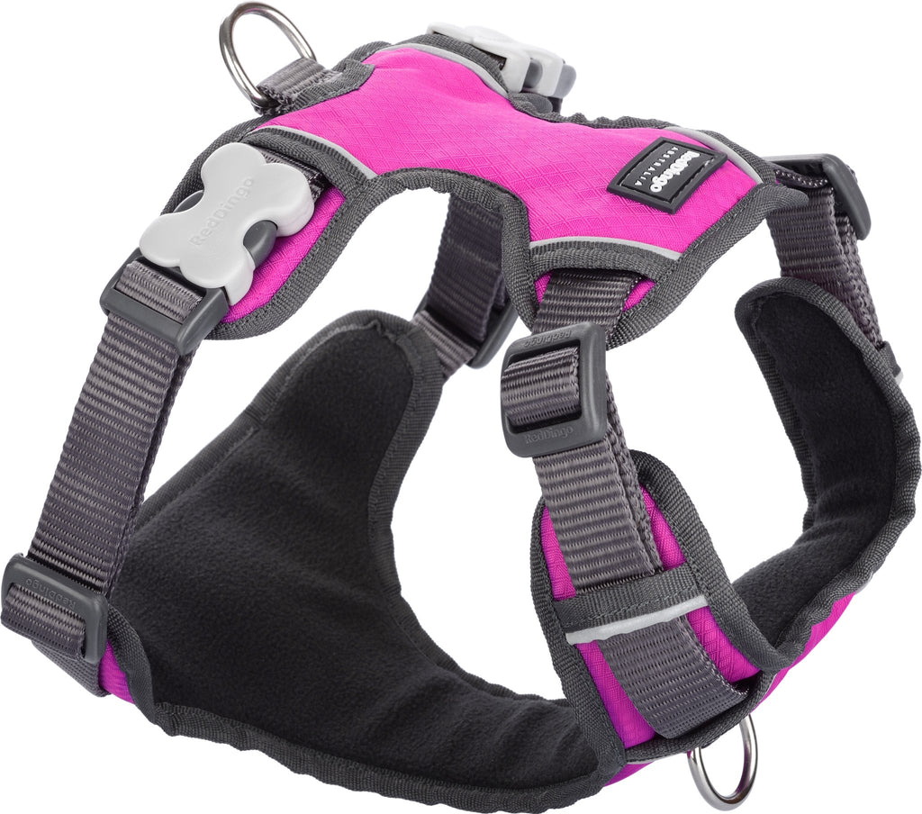 Red Dingo Padded Harness, Pink - The Urban Pet Store -