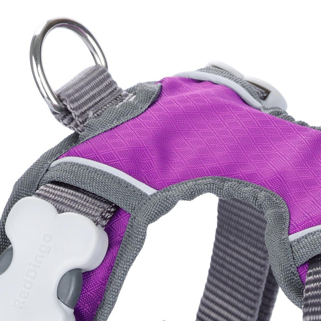 Red Dingo Padded Harness, Purple - The Urban Pet Store -