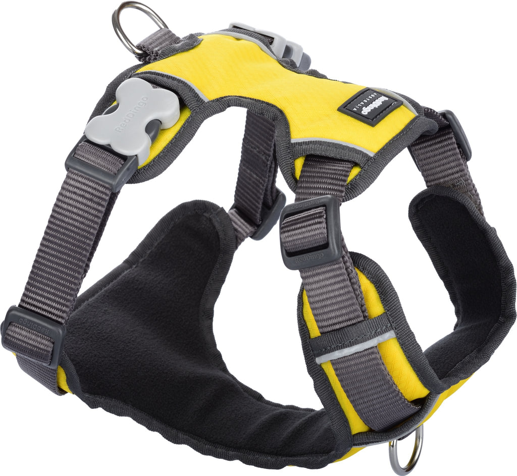 Red Dingo Padded Harness, Yellow - The Urban Pet Store -