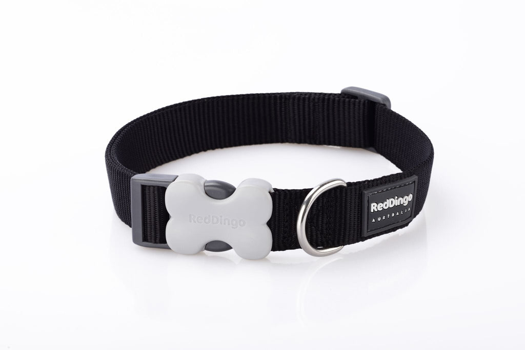 Red Dingo Plain Dog Collar, Black - The Urban Pet Store - Red Dingo9330725006164