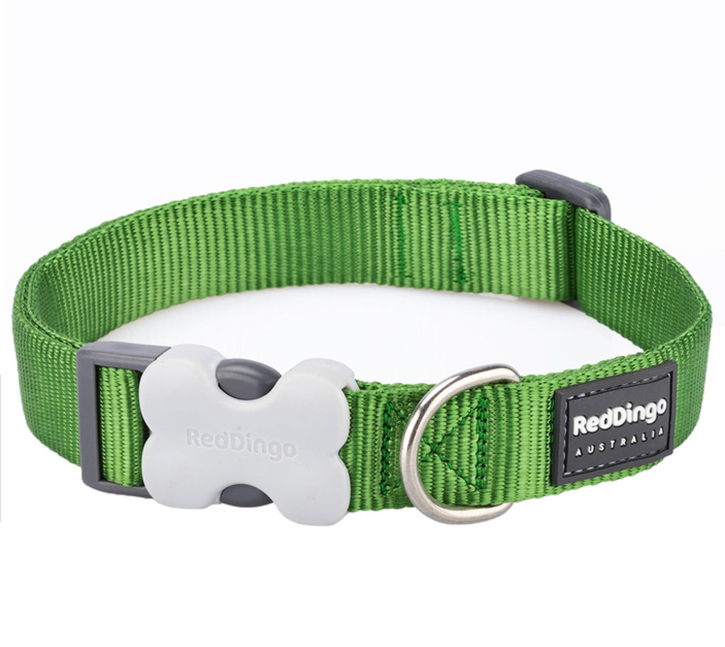 Red Dingo Plain Dog Collar, Green - The Urban Pet Store -