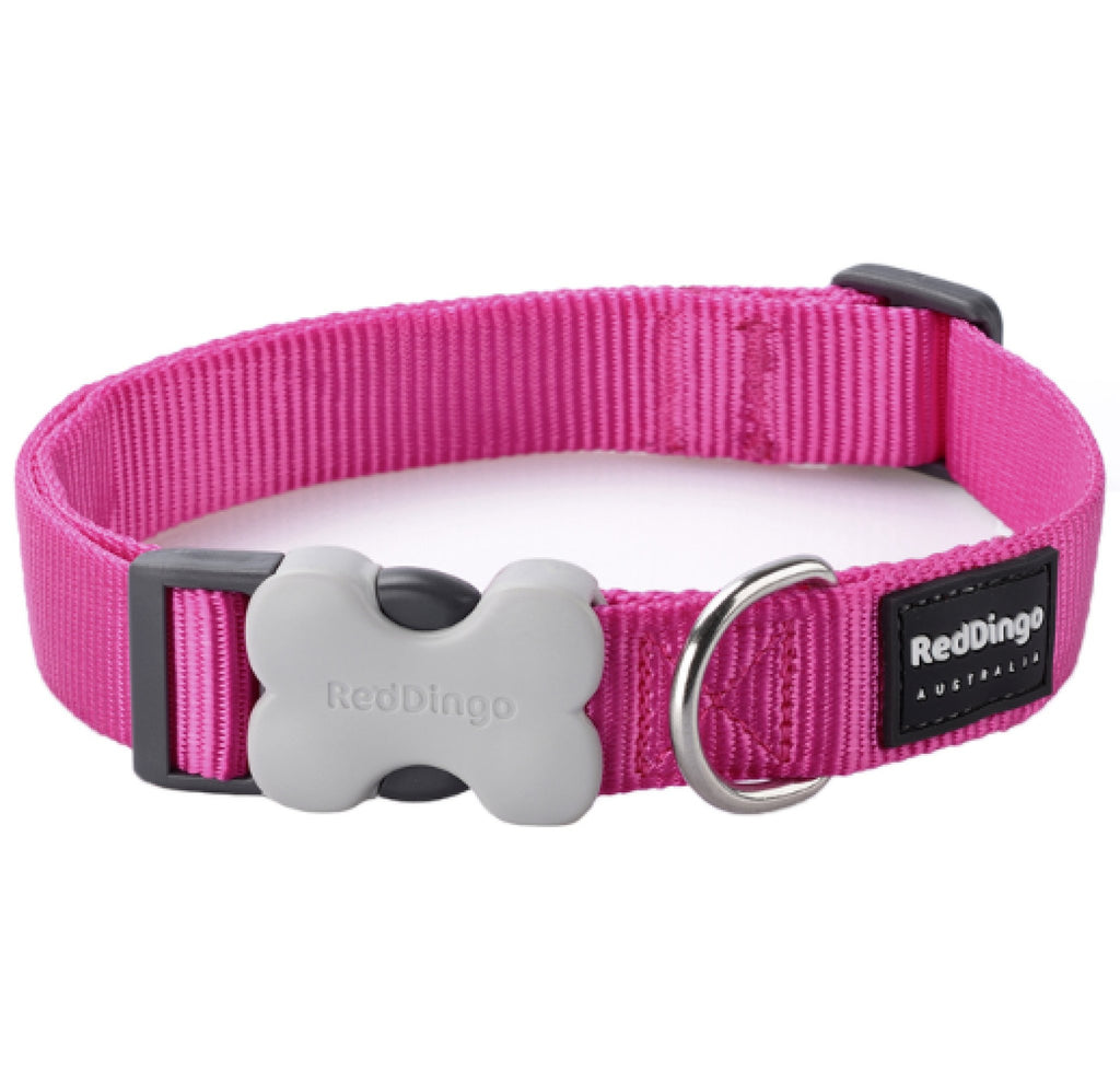 Red Dingo Plain Dog Collar, Hot Pink - The Urban Pet Store -