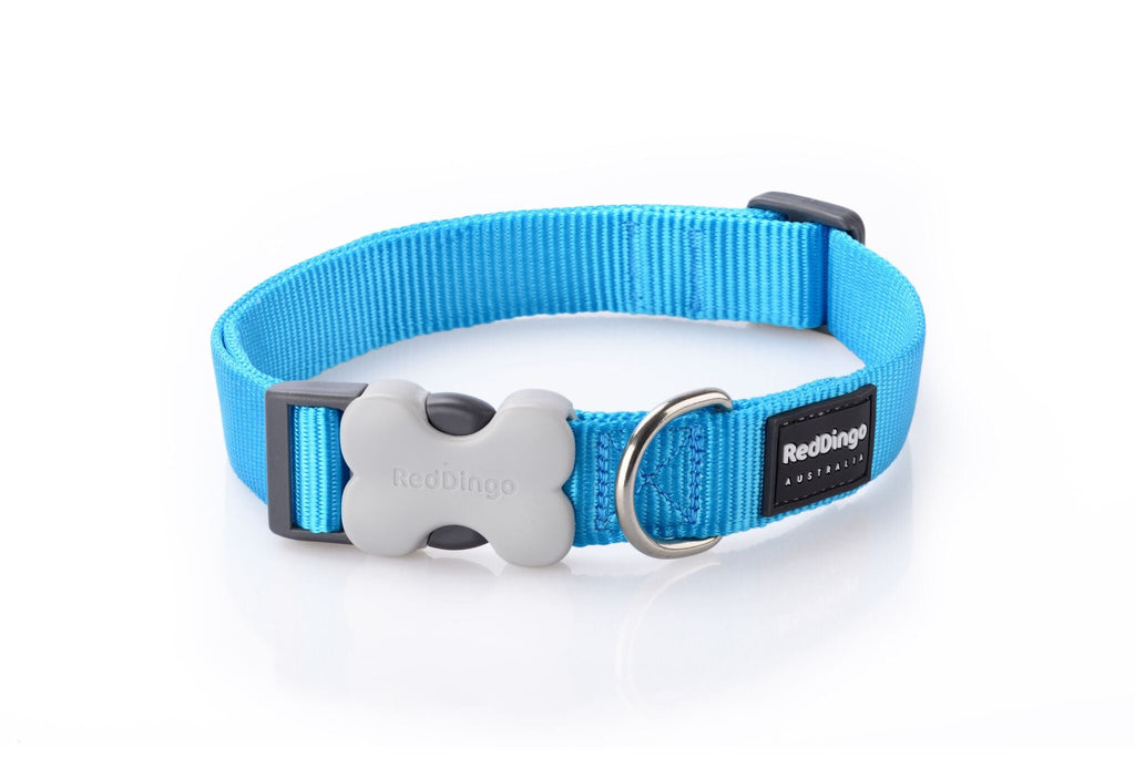 Red Dingo Plain Dog Collar, Turquoise - The Urban Pet Store -