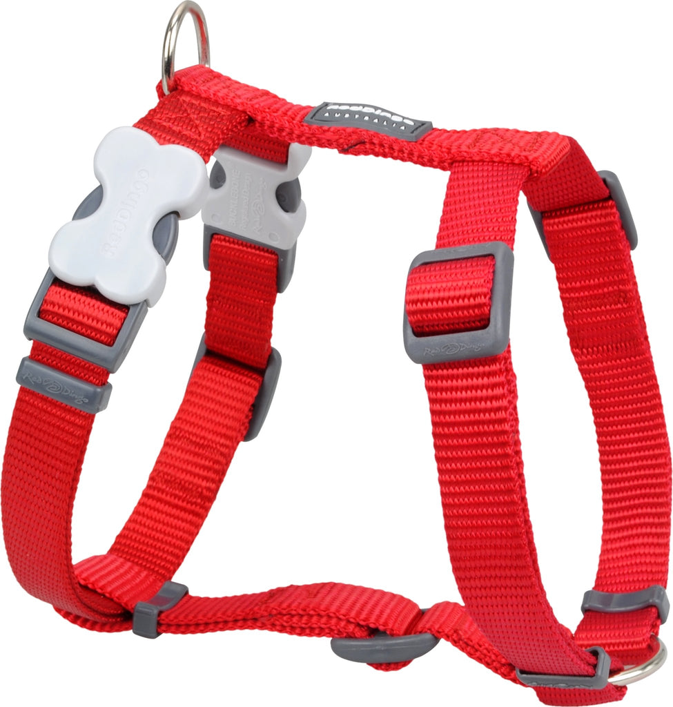 Red Dingo Plain Red Harness - The Urban Pet Store - Red Dingo9330725009059