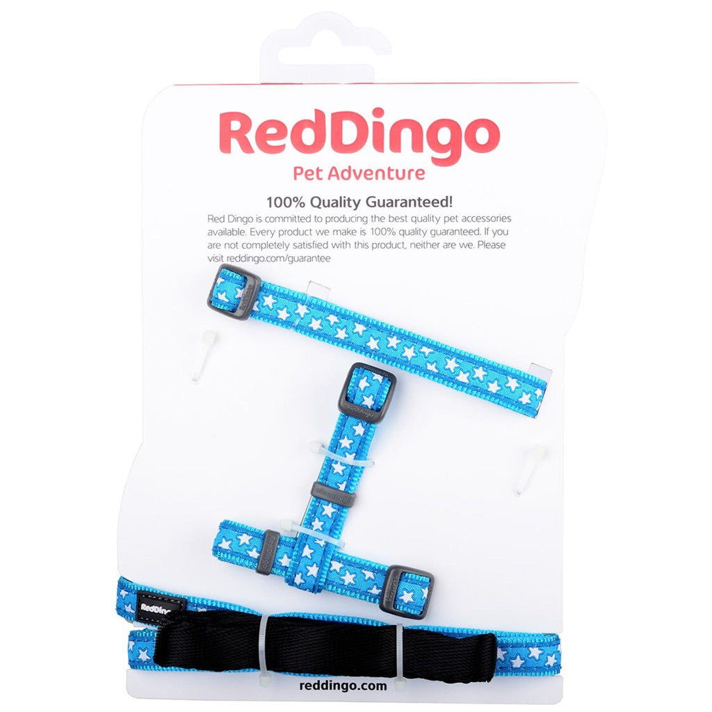 Red Dingo Puppy Kit, White Star On Turquoise (Collar, Lead & Harness) - The Urban Pet Store -