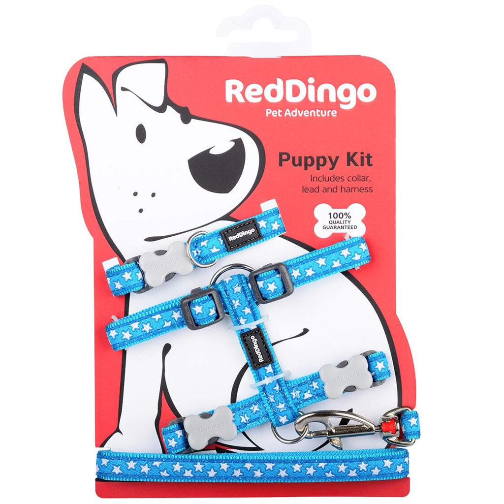 Red Dingo Puppy Kit, White Star On Turquoise (Collar, Lead & Harness) - The Urban Pet Store -
