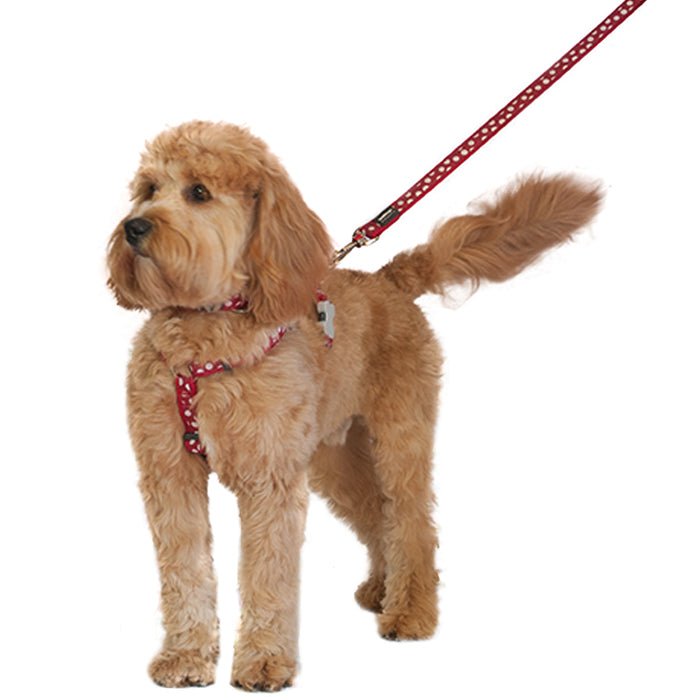 Red Dingo Red Spot Dog Lead - The Urban Pet Store - Dog Apparel