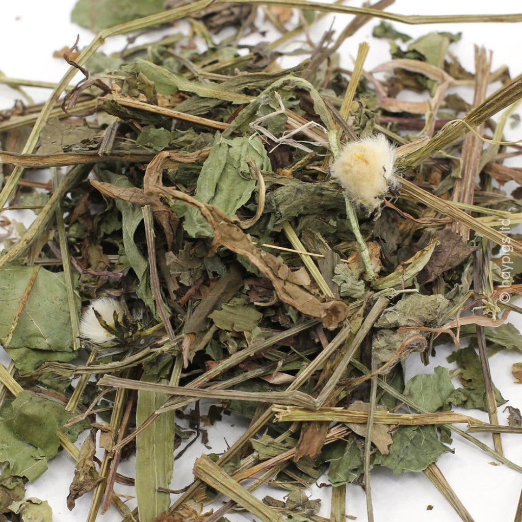 Rosewood Dandelion Delight 100g - The Urban Pet Store - Small Animal TreatsRosewood5025659194424