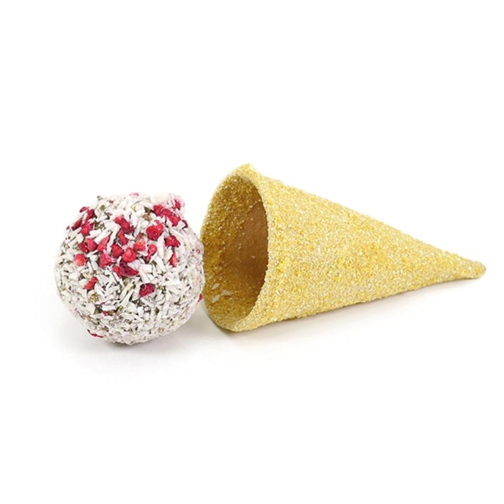 Rosewood Raspberry 'n' Coconut Cone - The Urban Pet Store - Small Animal TreatsRosewood5025659195575