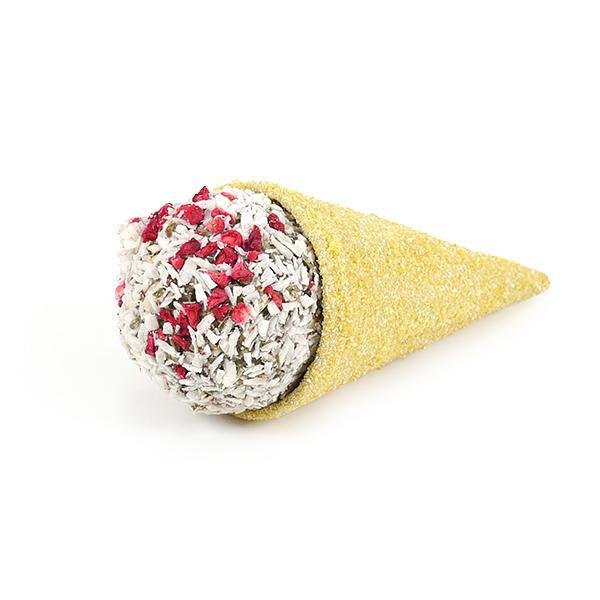 Rosewood Raspberry 'n' Coconut Cone - The Urban Pet Store - Small Animal TreatsRosewood5025659195575
