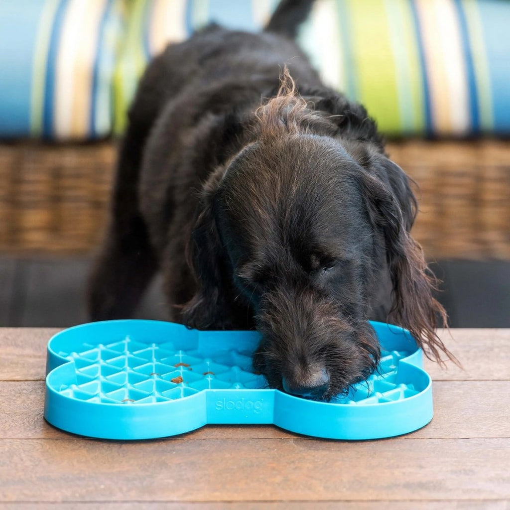 Slodog Slow Feeder - The Urban Pet Store - Dog SuppliesSloDog9349785000265