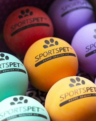 Sportspet Tough Bounce Balls - The Urban Pet Store -