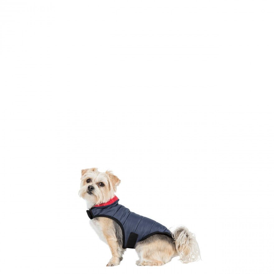 Trespaws Kimmi Reversible Quilted Dog Coat - The Urban Pet Store - Trespaws5045274787900