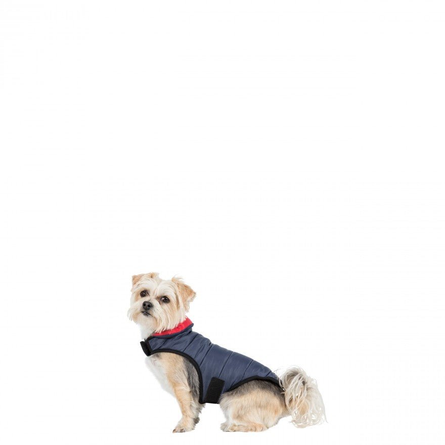 Trespaws Kimmi Reversible Quilted Dog Coat - The Urban Pet Store -