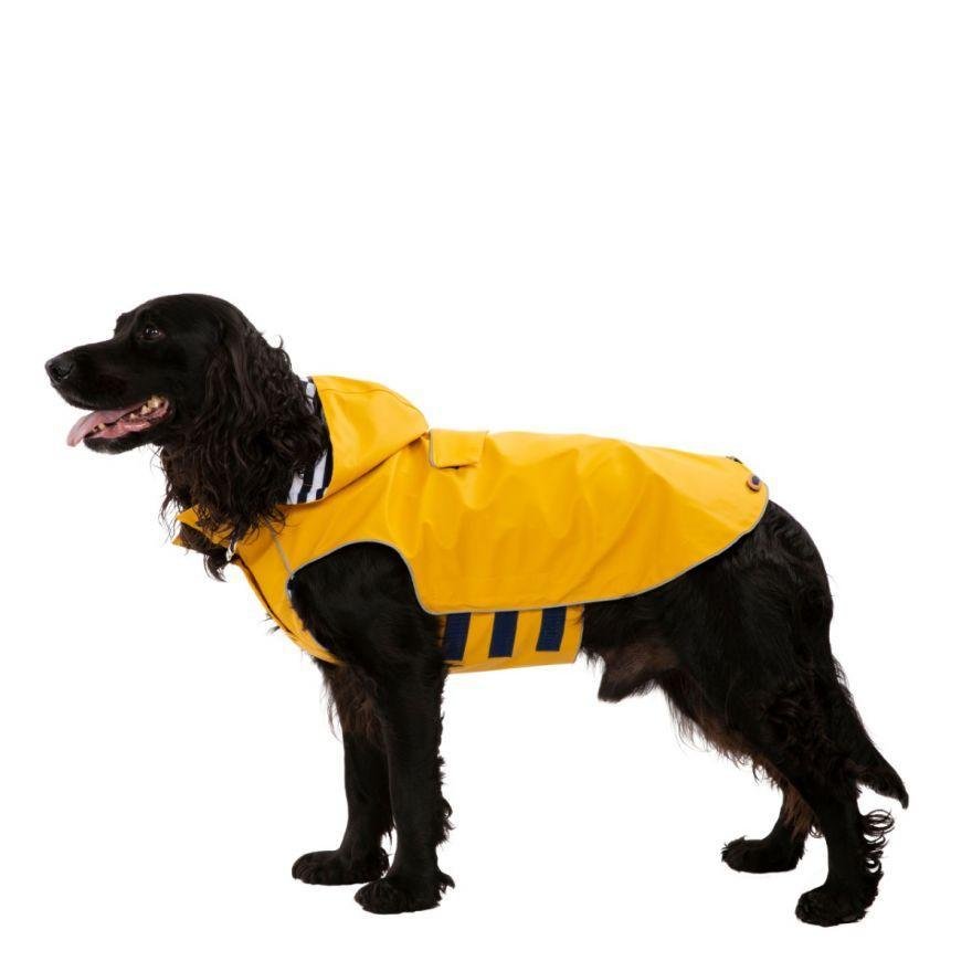 Trespaws Seadog Waterproof Dog Coat - The Urban Pet Store -