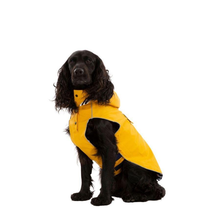 Trespaws Seadog Waterproof Dog Coat - The Urban Pet Store -