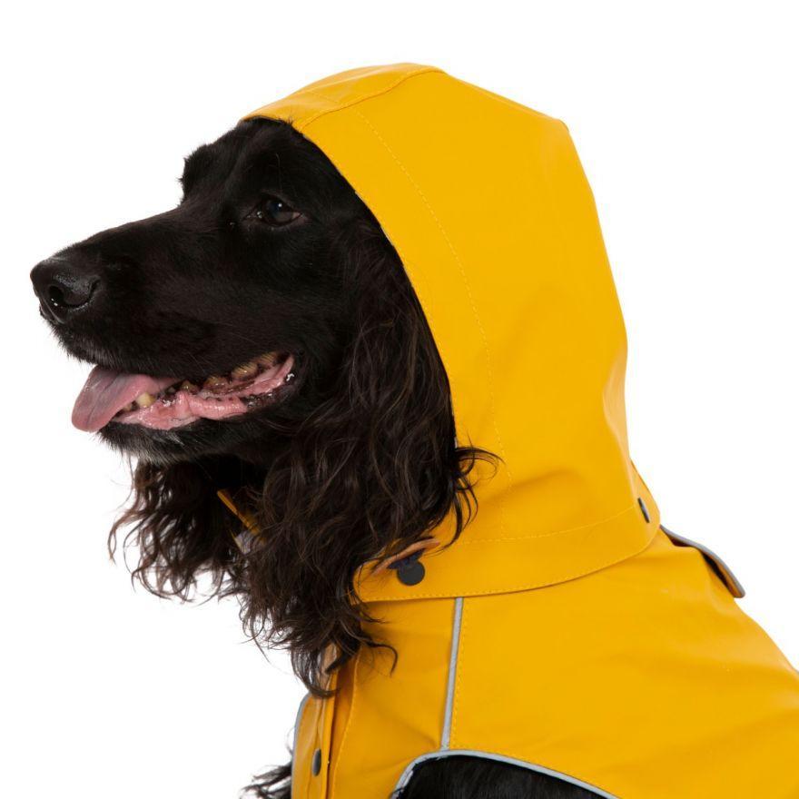 Trespaws Seadog Waterproof Dog Coat - The Urban Pet Store -