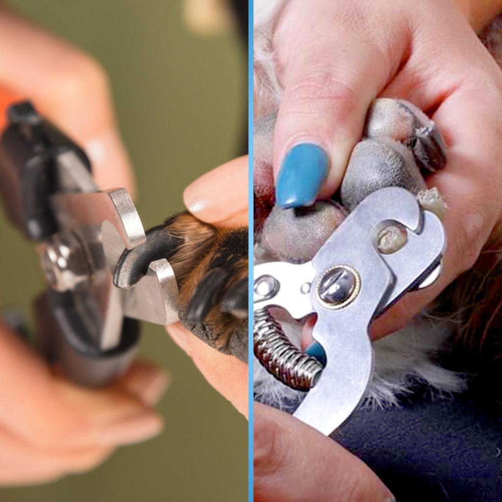 Wahl Dog Nail Clipper - The Urban Pet Store -