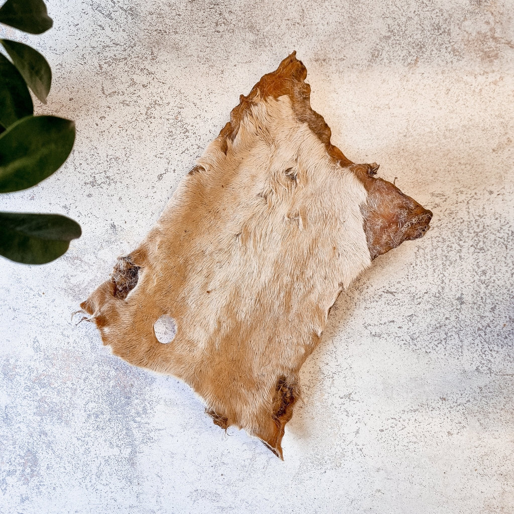 XL Beef Bark (Air Dried Cow Skin) - The Urban Pet Store - Dog TreatsJR Pet Products12345678103